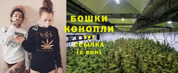 крисы Бронницы