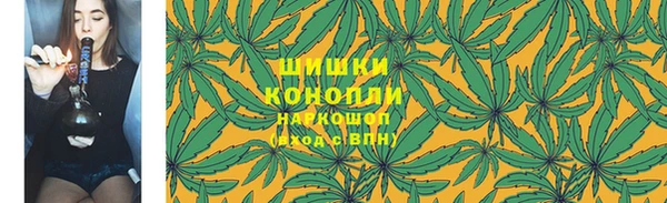 мдпв Бугульма