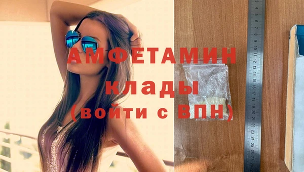 крисы Бронницы