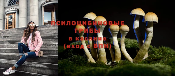 героин Бородино
