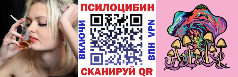 Галлюциногенные грибы Psilocybine cubensis Купить где Петровск